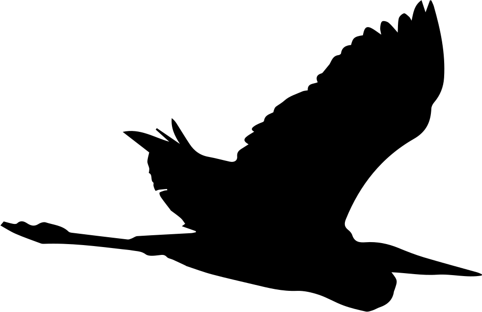 Png File - Heron (981x634)