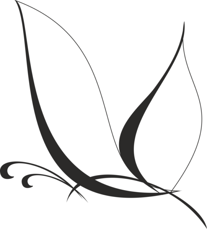 See Here Butterfly Clipart Black And White Outline - White Butterfly Vector Png (722x800)