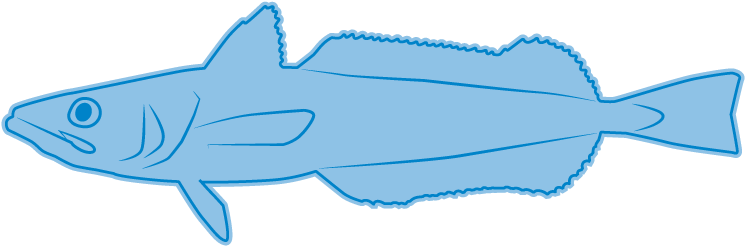 Peruvian Hake - Whale (750x300)