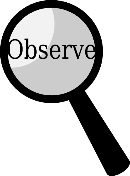 Observation Clip Art Observations Clipart - Observation Clipart (444x600)