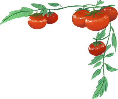 มะเขือเทศ ลาย เส้น Png (400x333)