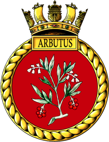 Battle Honours - Hms Daring (400x516)