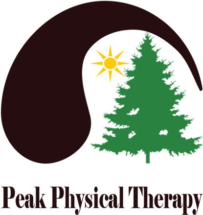 Logo Design By Bradoral For Peak Physical Therapy - Christmas Tree (1200x1000)