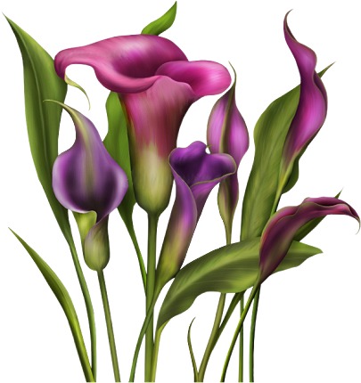 Dibujos Primavera Png - Thank You Mom Gif (429x429)