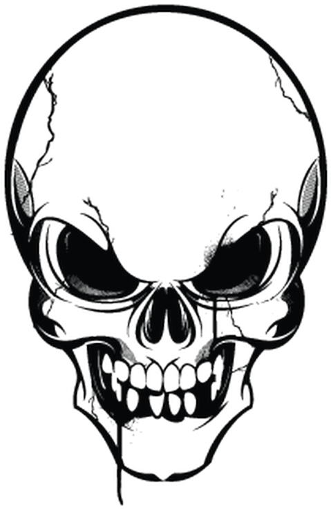 Human Skull Symbolism Clip Art - Skull Logo Vector Png (800x800)