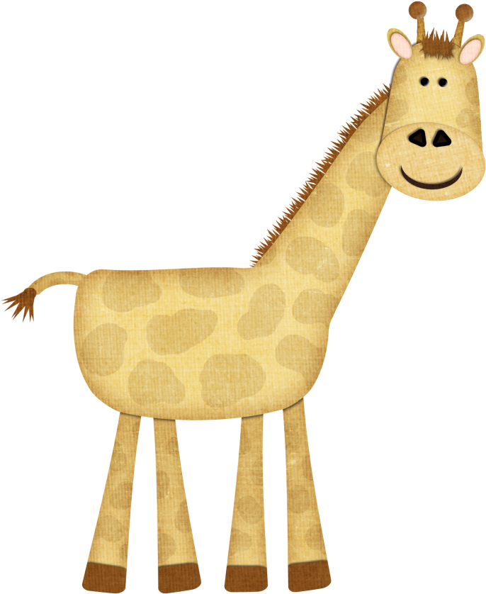 Discover Ideas About Zoo Animals - Giraffe (718x870)