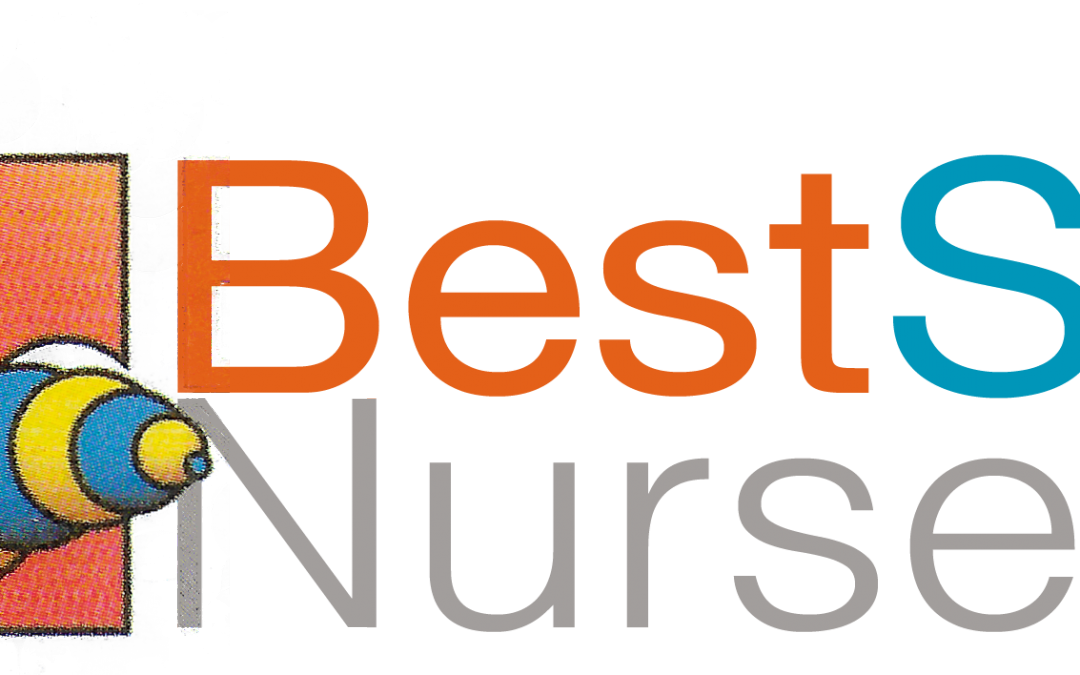 Alma Park Family Fun Day - Honeybee (1080x675)