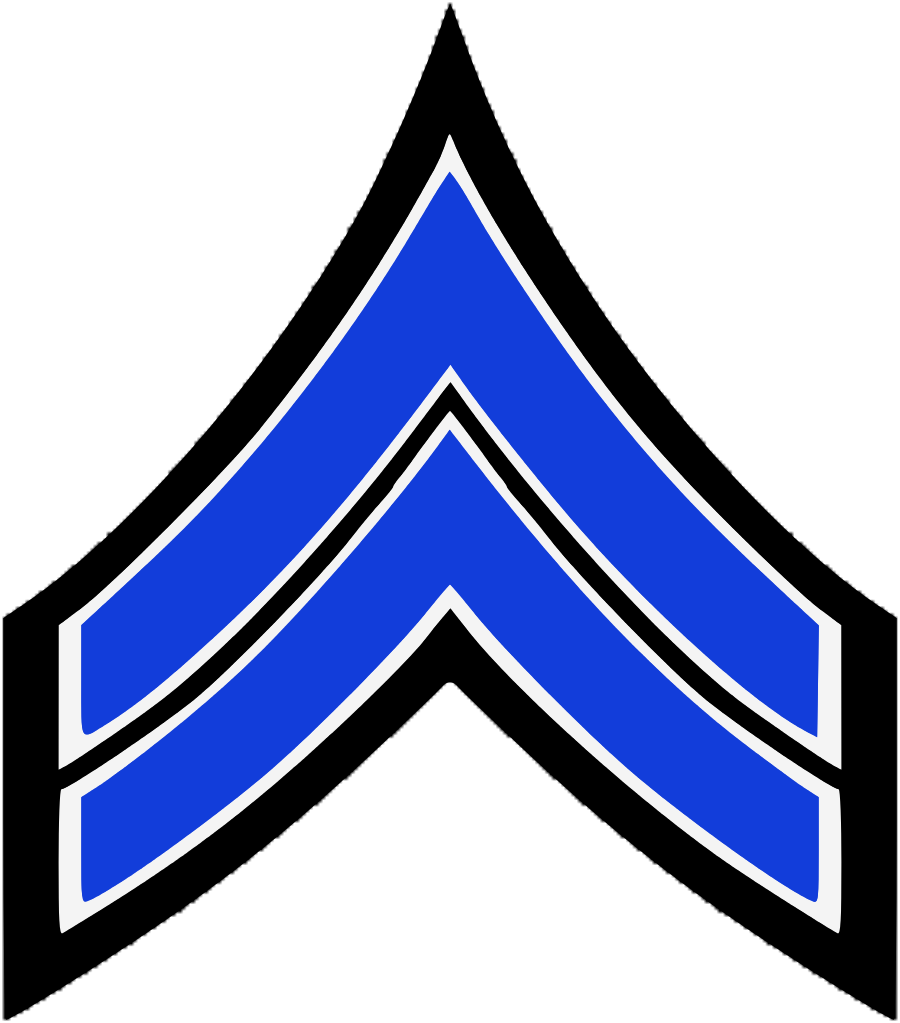 Sergeant New York City Police Department Auxiliary - Nypd Sergeant Stripes (1993x2267)
