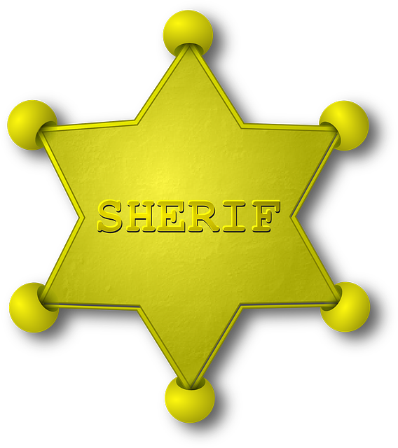 Sheriff, Gold, Star, Emblem - Estrela Xerife Png (568x640)