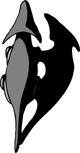 Top, View, Shadow, Dinosaur, Ancient - Dinosaur Top View (334x640)