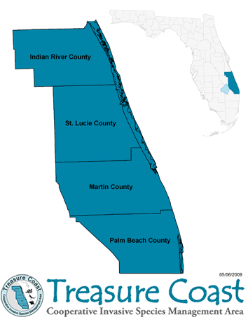 Product Informationsurfaces Sport Court Of Central - Map (364x454)