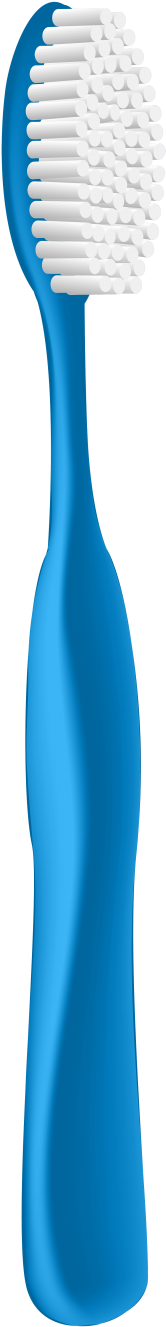 Toothbrush Png Clip Art - Clip Art (190x1337)