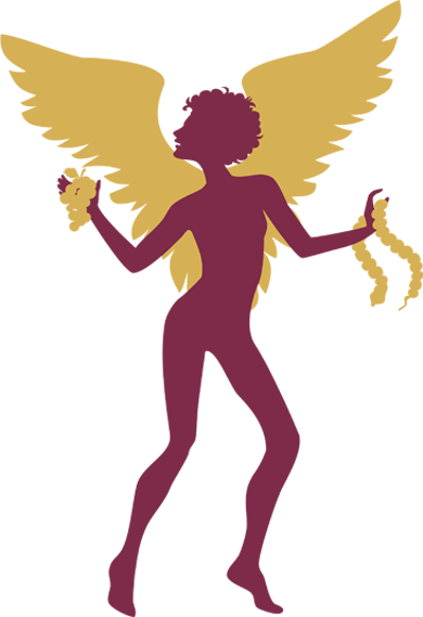 Colon Hydrotherapy - Angel (390x569)