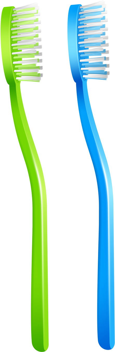 Free Png Green Blue Toothbrush Png Clip Art Png Images - Clip Art (480x1360)