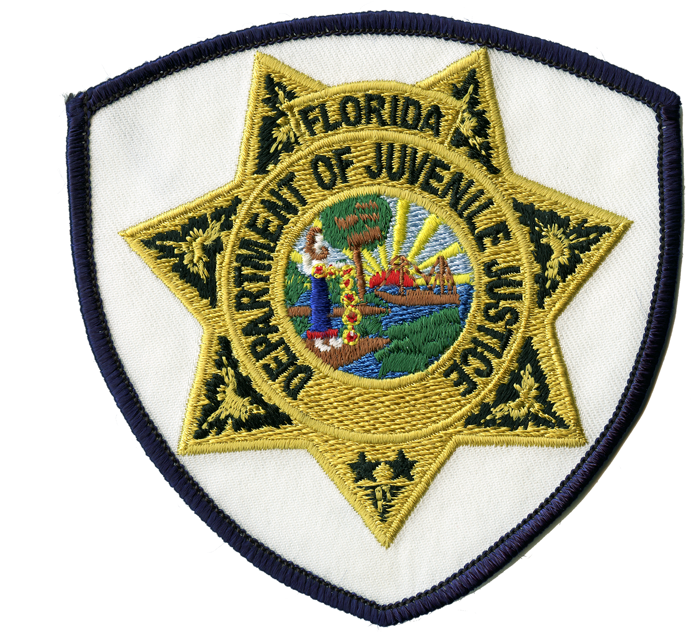 Florida Department Of Juvenile Justice Office Of Inspector - Florida (1447x1438)