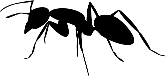 Ant Clipart Black And White - Ant Silhouette (665x304)