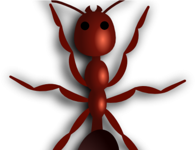 Drawn Ant Fire Ant - Ant (640x480)