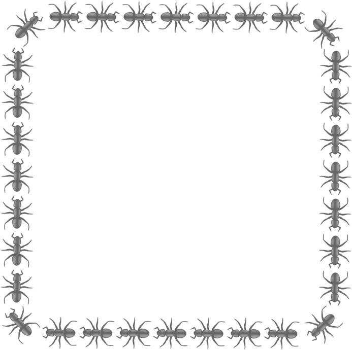 Ant Border Square By Pitr A Square Border Made Of Ants - Ant Border (700x697)
