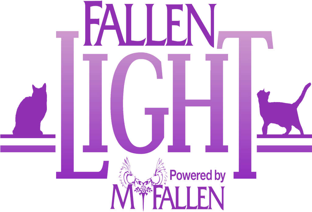 Forest Of Fallen Light - Domestic Short-haired Cat (1024x768)