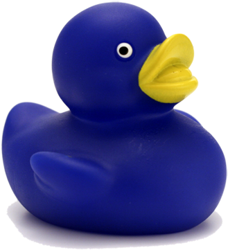 The Blue Duck Found In Routeburn Valley - Blue Duck (400x395)