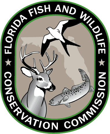 1 866 Fwc Gator - Florida Fish And Wildlife Conservation Commission (380x462)