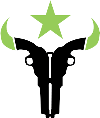 Houston Outlaws - Overwatch League Houston Outlaws (379x379)