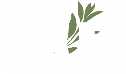 A New Report Released October 26 By Health Impact Partners - Strategic Actions For A Just Economy (480x283)