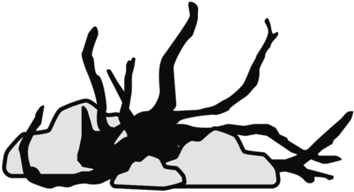 Hardscape - Hardscape (500x342)