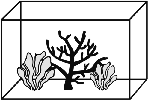 Aquariums - Line Art (500x342)