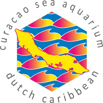 In 1984, One Of Curacao's Finest Assets, Its Underwater - Sea Aquarium Curacao (348x350)
