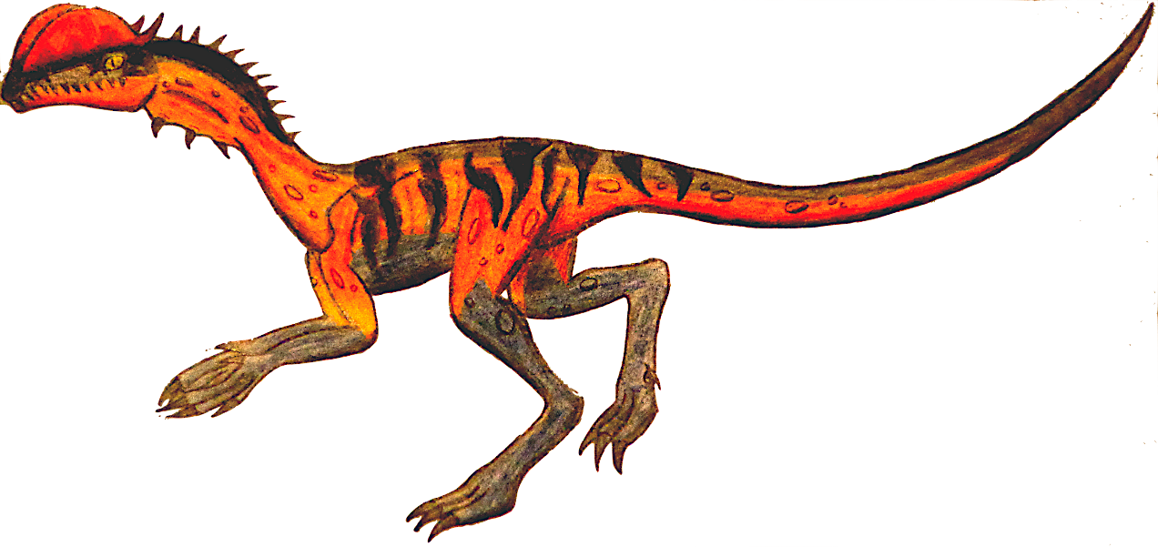 Dilophosaurus - Google Search - Dinosaur Dilaphasaurus Drawing (1272x601)