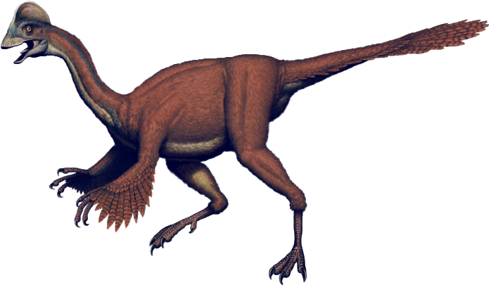 Oviraptor Dinosaur - - Giant Chicken Dinosaur (700x412)