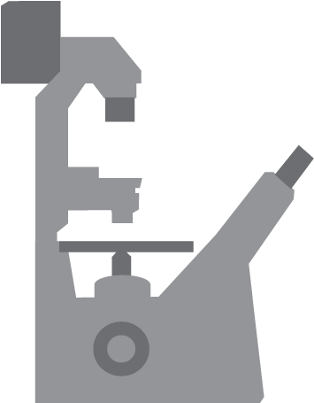 New Nic User Orientation - New Nic User Orientation (369x473)