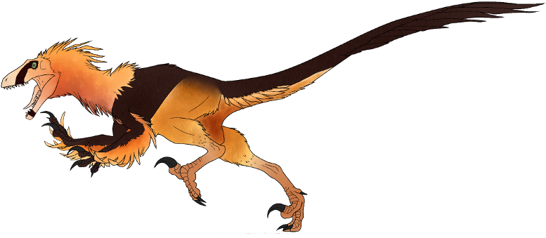 Bearded Vulture Raptor By Ktriemert - Bearded Raptor (806x354)