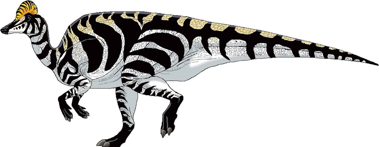 Nipponosaurus Corythosaurus Hadrosaurus Parasaurolophus - Dinosaur That Have Crests (1500x605)