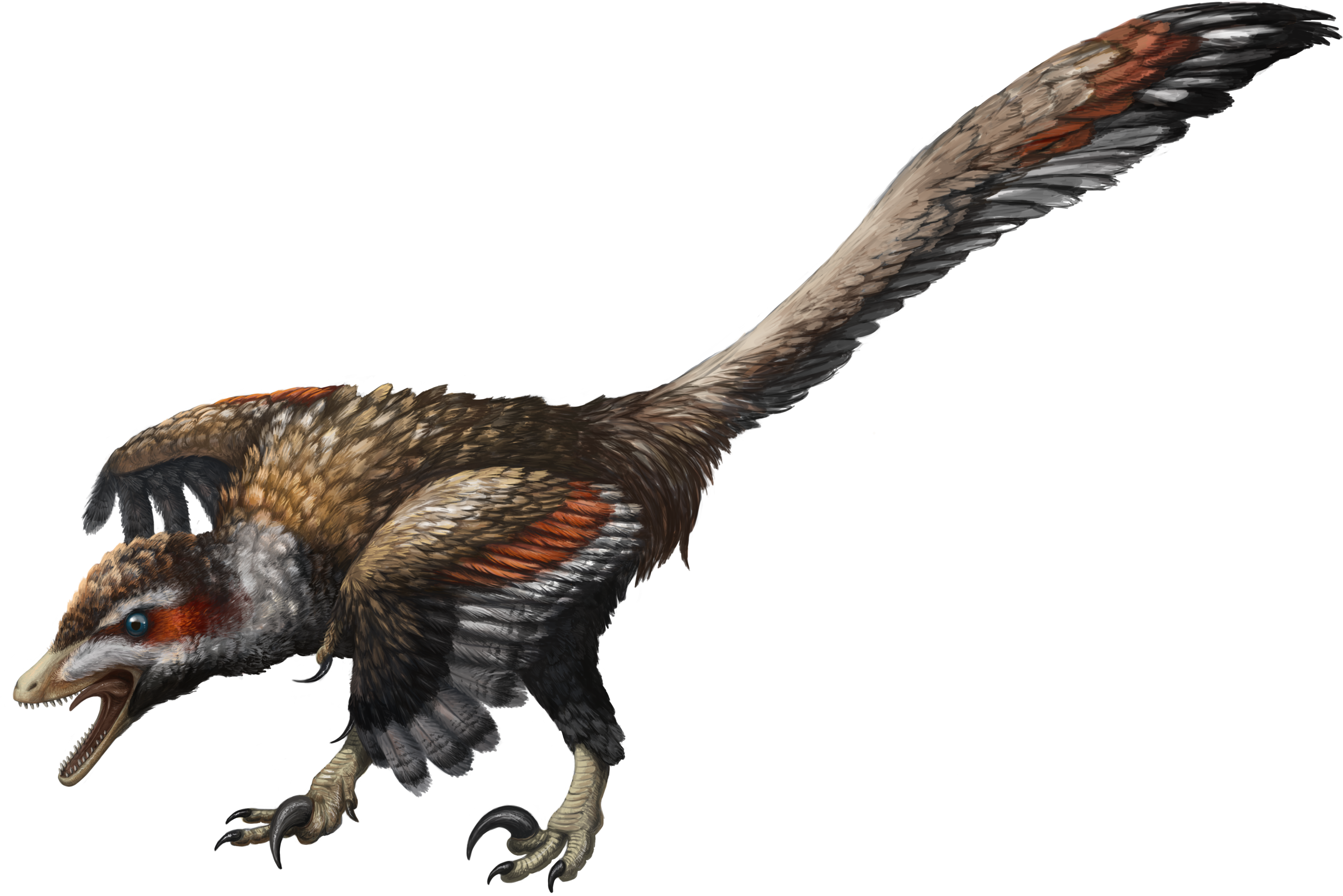 Velociraptor - Flaming Cliffs Dinosaur Game (3615x2430)
