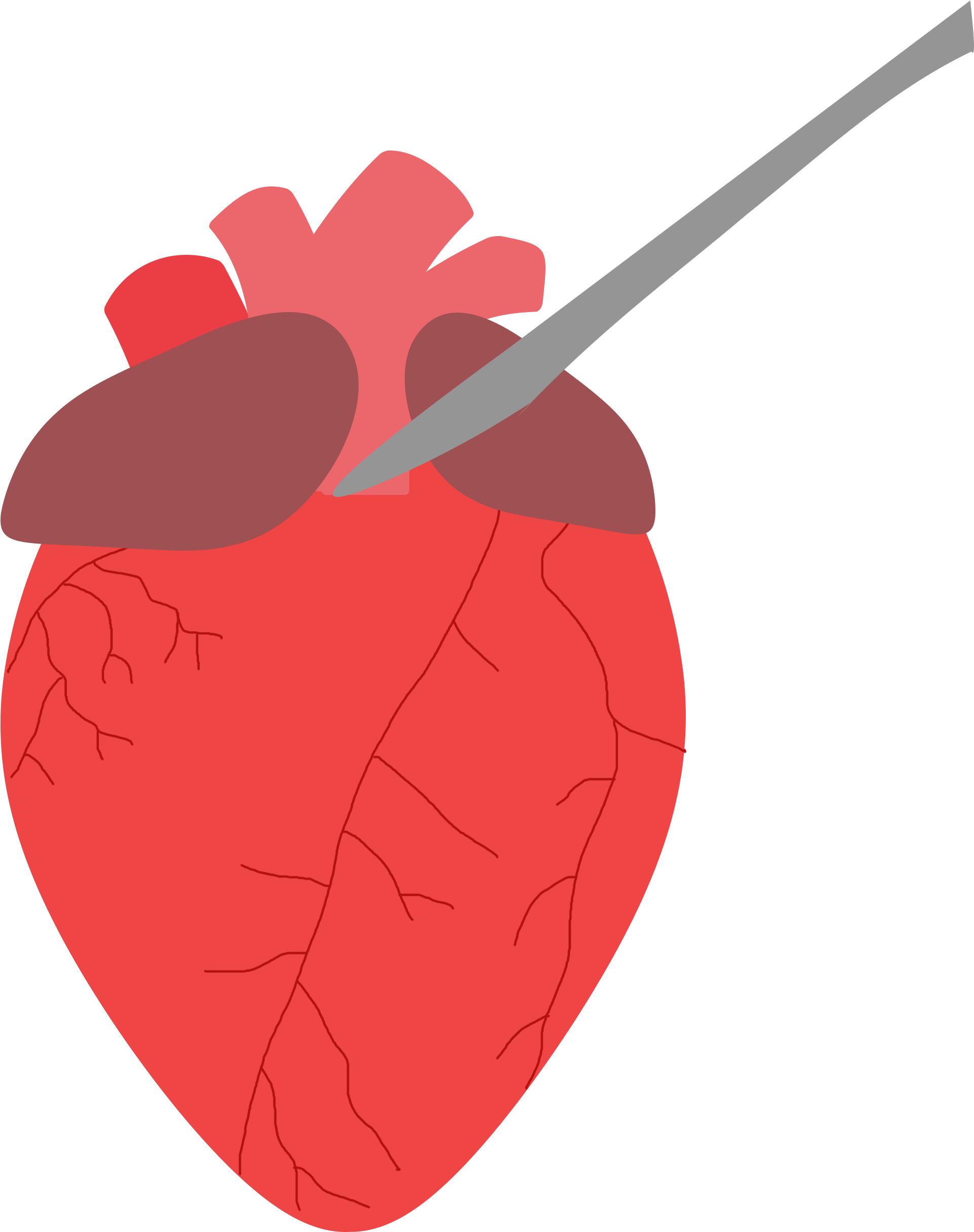 Place The Heart So The Anterior Side Is Facing Up - Gif (3000x3000)
