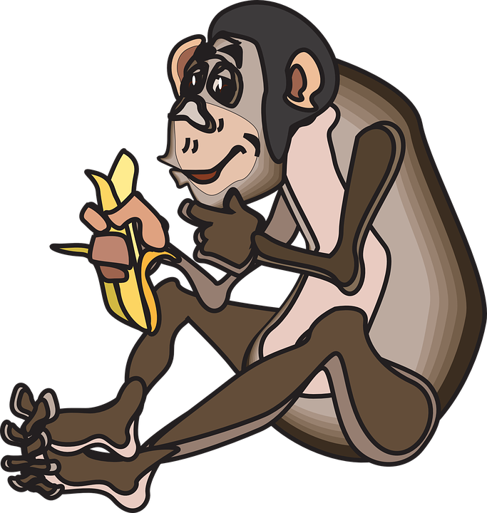 Cartoon Monkey Pics 26, - Animasi Bergerak Monyet Makan Pisang (683x720)
