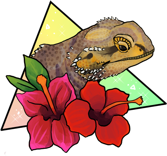Magical Bearded Dragon - Hawaiian Hibiscus (595x559)