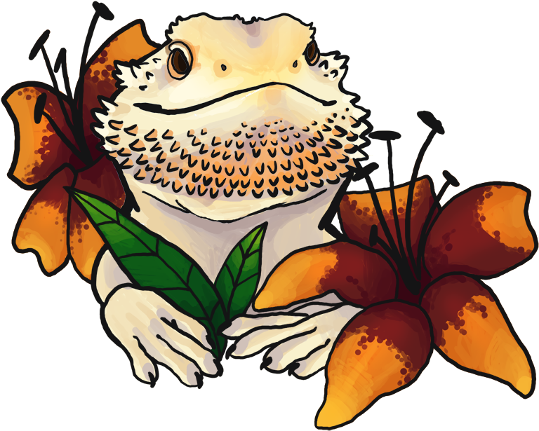 Sunfish Exotics, This Cute Bearded Dragon Belongs To - Cute Bearded Dragon Drawing (830x675)