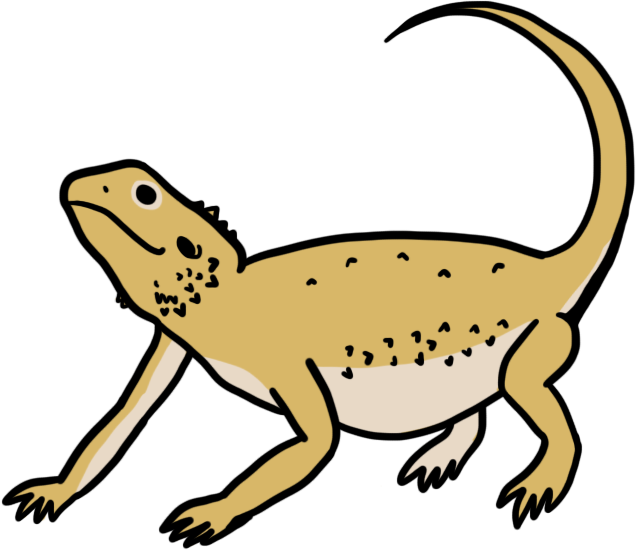 Bearded Dragons (636x550)