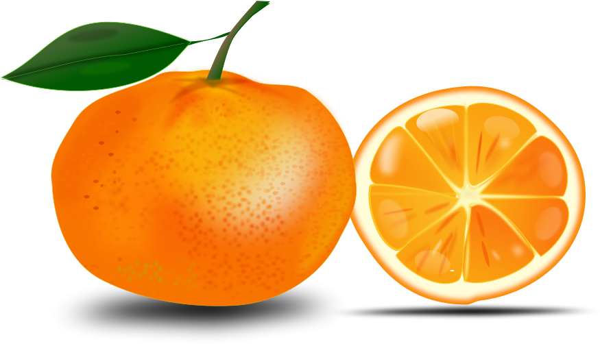 Orange - Clipart - Orange Images Clipart Black And White (900x508)