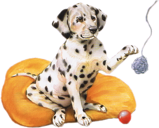 Dalmatians Dogs - Dalmatian (579x452)