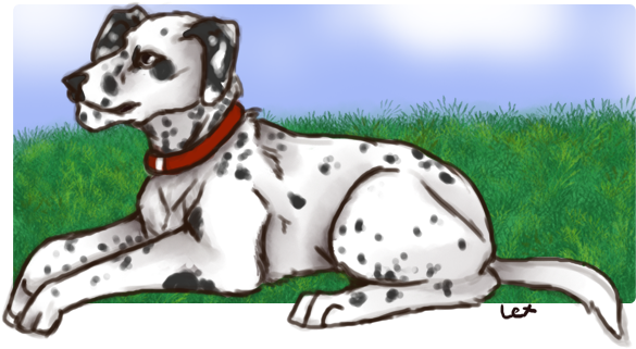 Kuroda - Dalmatian (600x375)