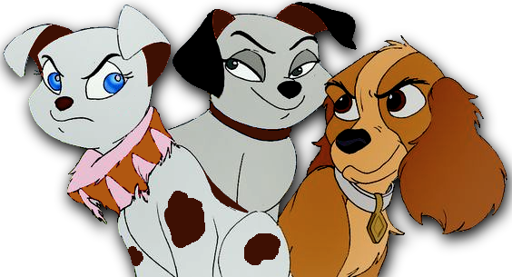 We Carefully Select Which Dogs Will Walk Together, - Cartoon (564x305)