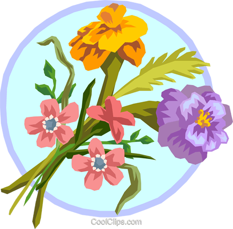 Marigold Bouquet Royalty Free Vector Clip Art Illustration - Primula (480x471)