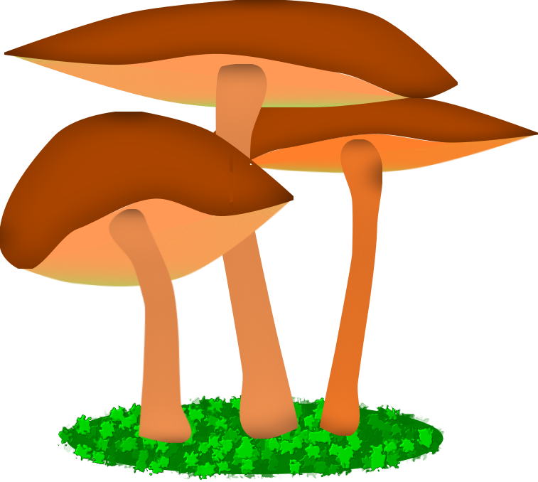 Illustration Friday - “mushroom” - Illustration (757x678)