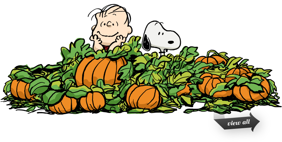 Pumpkin Patch Cliparts - Pumpkin Patch Charlie Brown (939x526)