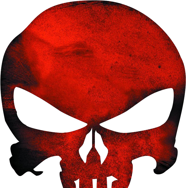 Grey Punisher Skull (800x801)