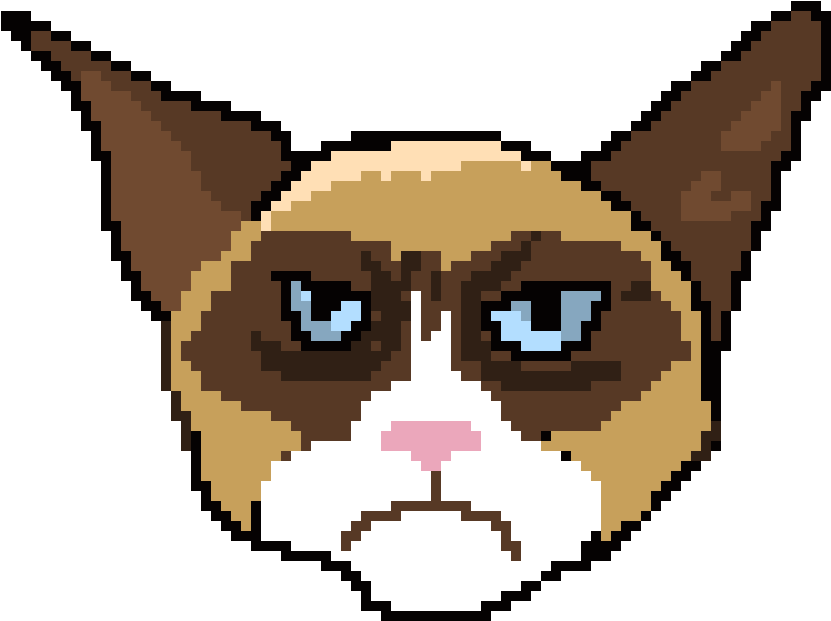 Grumpy Cat - Snowshoe (890x730)